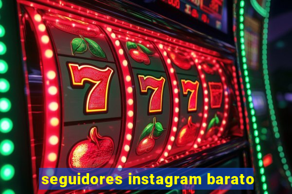 seguidores instagram barato